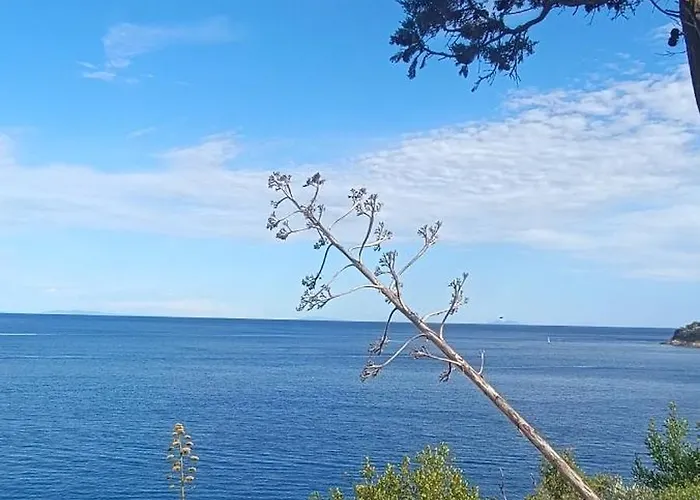 La Maisonnette Apartment